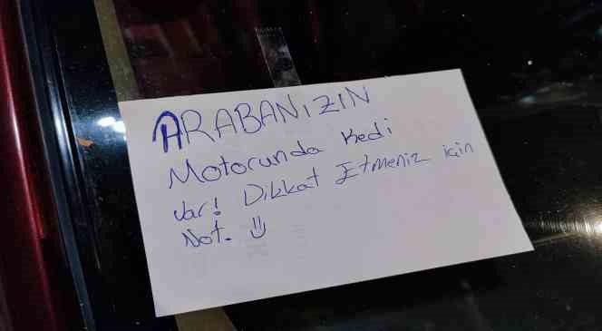 Ara&ccedil;tan araca giren kedi kurtarılamayınca not bırakıldı
