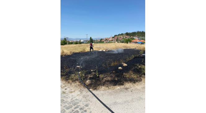 Burdur&rsquo;da ekin yangını hayvan barınağına sı&ccedil;ramadan s&ouml;nd&uuml;r&uuml;ld&uuml;
