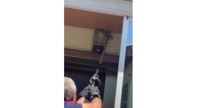 Tavandaki yılan paniğe neden oldu