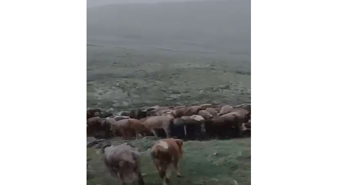 Temmuz ayında kar yağışı