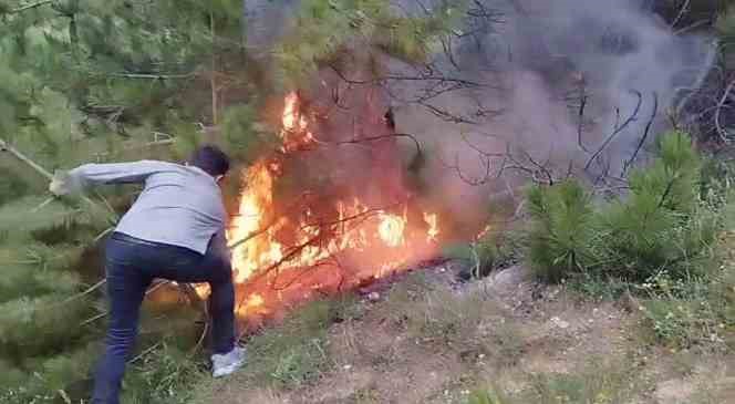 Bolu’da ormanlara giriş yasaklandı
