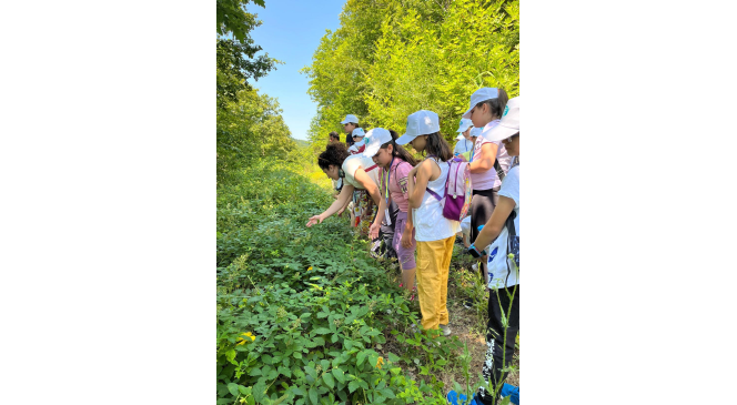 Nil&uuml;fer Doğa ve Bilim Yaz Okulu başladı

