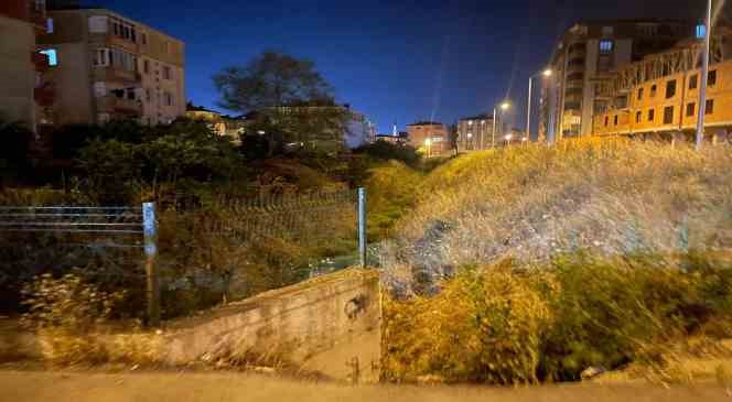 Kapaklı&rsquo;nın g&ouml;beğinde yılan yuvası
