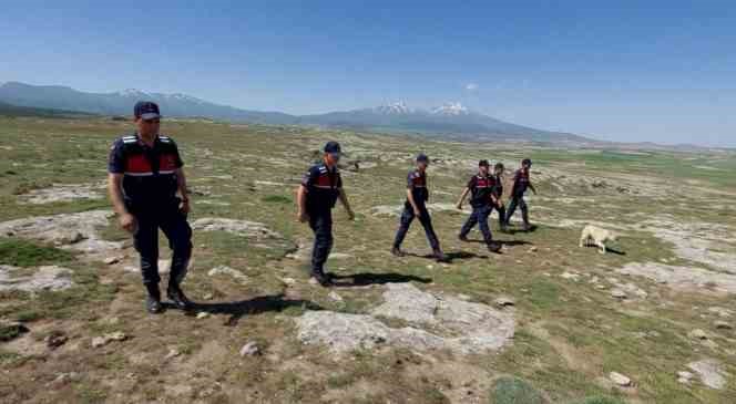 Jandarma kayıp 100 koyunu dron ile 1 saatte buldu
