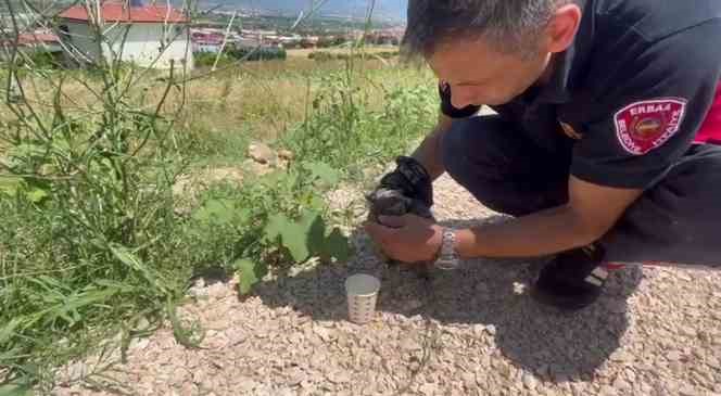 Kaputa sıkıştı, itfaiye ekiplerince kurtarıldı