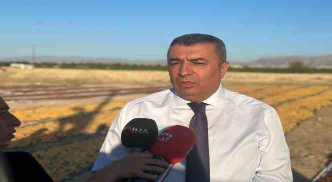 Malatya&rsquo;da kayısı hasadı s&uuml;r&uuml;yor, hedef 750 milyon dolarlık ihracat
