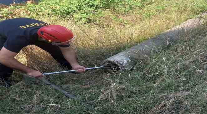 Yalova&rsquo;da boru i&ccedil;inde mahsur kalan kaplumbağa kurtarıldı
