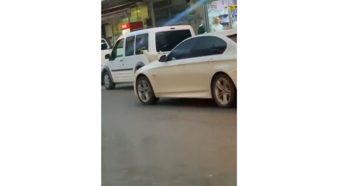 Kedi otomobilin kaportasında şehir turu attı