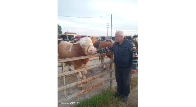 Havsa Canlı Hayvan Pazarı kapatıldı
