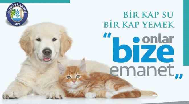 Salihli’de sokak hayvanları için çağrı: ’Bir kap su, bir kap yemek’