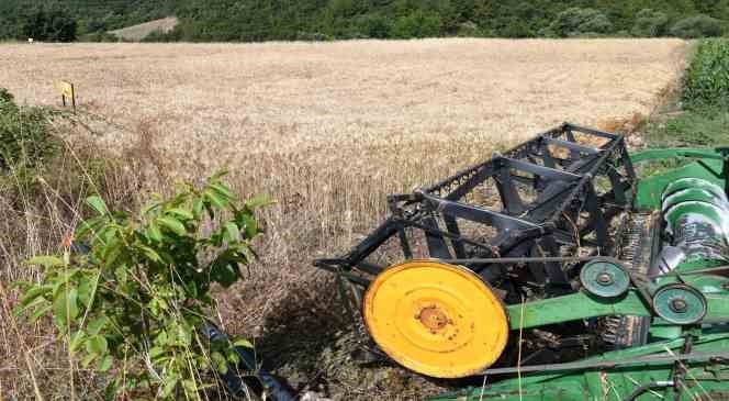 Lapseki&rsquo;de Buğday &Ccedil;eşit Demonstrasyon Tarla G&uuml;n&uuml; d&uuml;zenlendi
