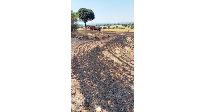 Anız yangınında 2 dekar alan zarar g&ouml;rd&uuml;
