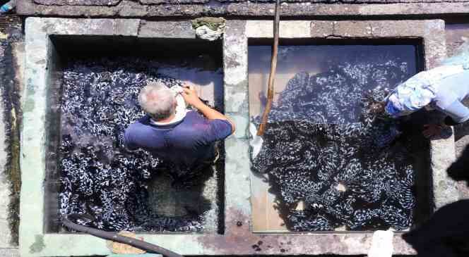 Tokat&rsquo;ta Hindistan manzarası: 6 asırlık gelenek b&ouml;yle yaşatılıyor
