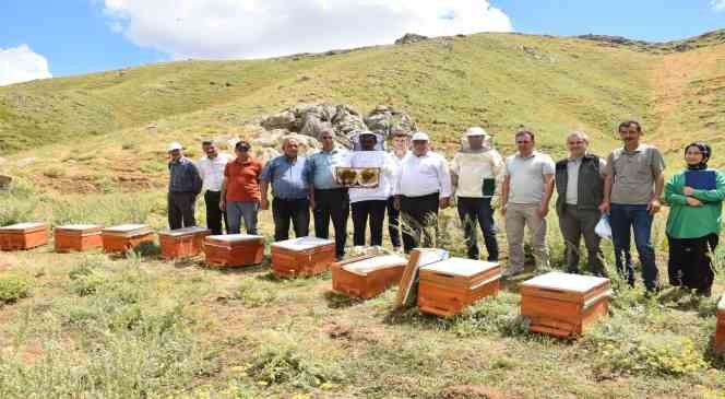 Organik bal &uuml;retimi i&ccedil;in deneme ama&ccedil;lı kovan dağıtıldı
