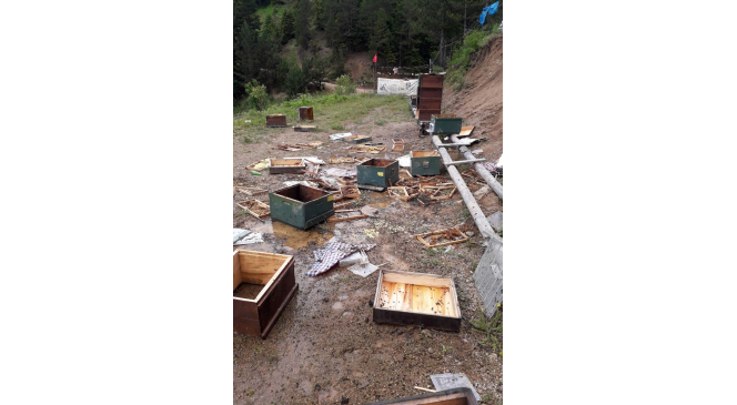 Ayılar &ccedil;itin altını kazarak girdikleri alandaki kovanları par&ccedil;aladı
