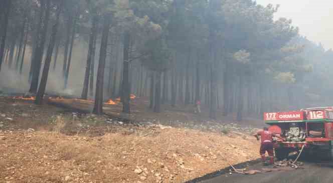 Kahramanmaraş’taki orman yangını söndürüldü