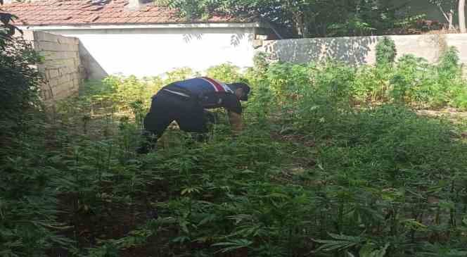 Edirne’de uyuşturucu operasyonu: 14 kilo 792 gram uyuşturucu ele geçirildi