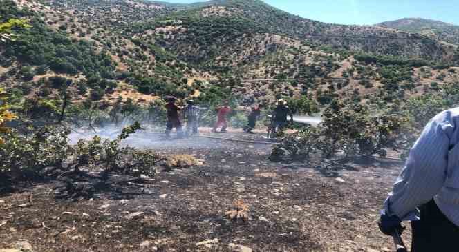 Bing&ouml;l&rsquo;de ormanlık alanda korkutan yangın
