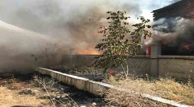 Burdur’da kereste fabrikası alevlere teslim oldu