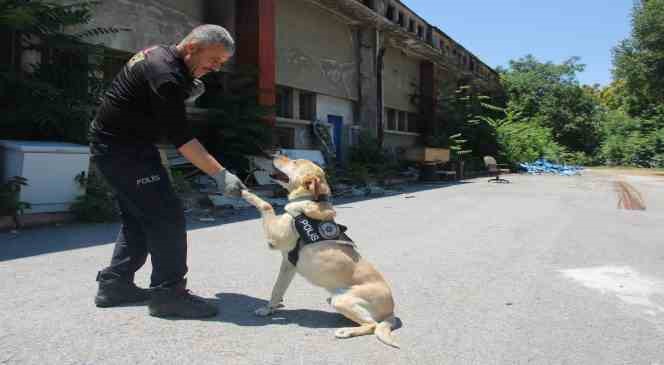 Uyuşturucu tacirlerinin korkulu rüyası ’Jack’