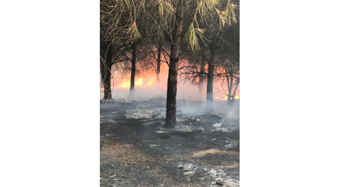 G&ouml;k&ccedil;eada&rsquo;daki orman yangını kontrol altına alındı
