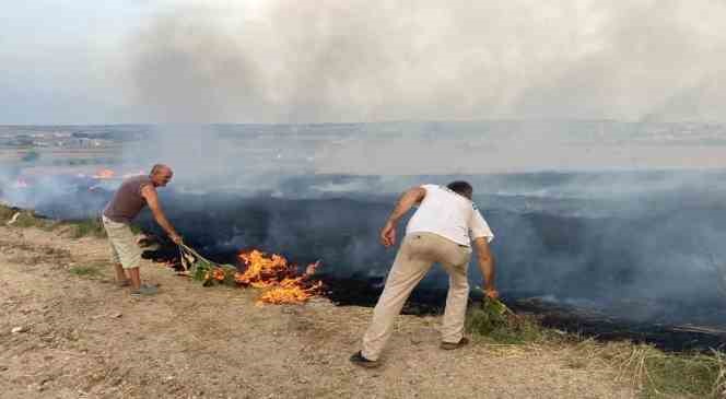 Edirne&rsquo;de 40 d&ouml;n&uuml;m buğday tarlası ve 500 saman balyası yandı
