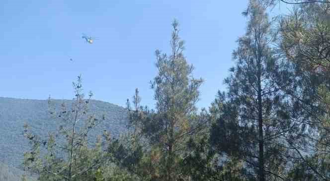 Hasanbeyli&rsquo;de orman yangını kontrol altına alındı 