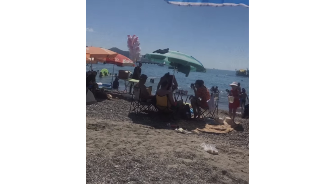 Filyos sahilinde &ccedil;ıkan yılan korkuttu
