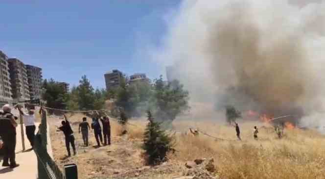 Şanlıurfa Orman Bölge Müdürlüğü bahçesinde çıkan yangın korkuttu