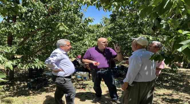 Karaman Ziraat Odası Başkanı Bayram: "T&uuml;ccar şu an 28-32 kalibre boyundaki kiraza 15 lira fiyat veriyor"
