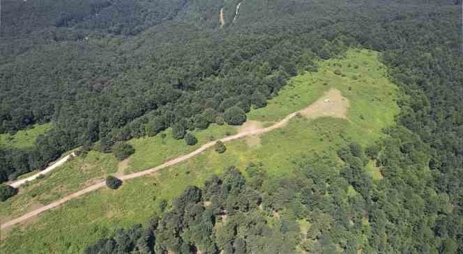 Kurtk&ouml;y Kapılı &Ccedil;ınar mesire alanı tabiat parkı olmaya aday
