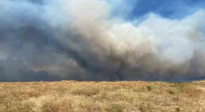 Çanakkale’deki yangında rüzgarın etkisiyle alevler büyümeye başladı
