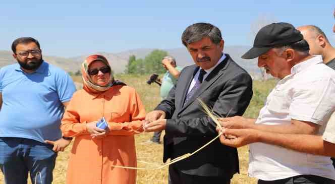 Hububat tarlalarında bi&ccedil;erd&ouml;ver ile hasat işlemleri başladı
