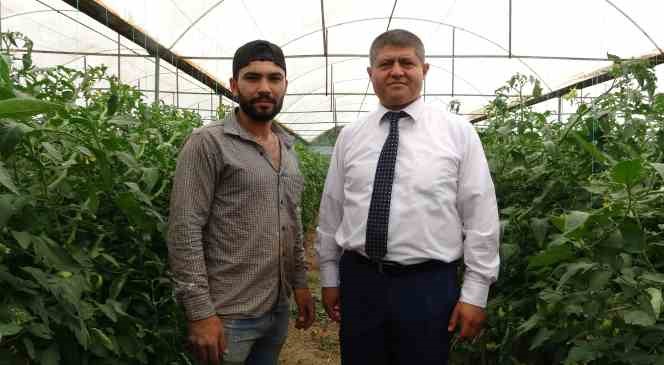 2 bin 500 n&uuml;fuslu k&ouml;y, hasada yetişemeyince komşu k&ouml;ylerden tarım iş&ccedil;isi kiralanıyor
