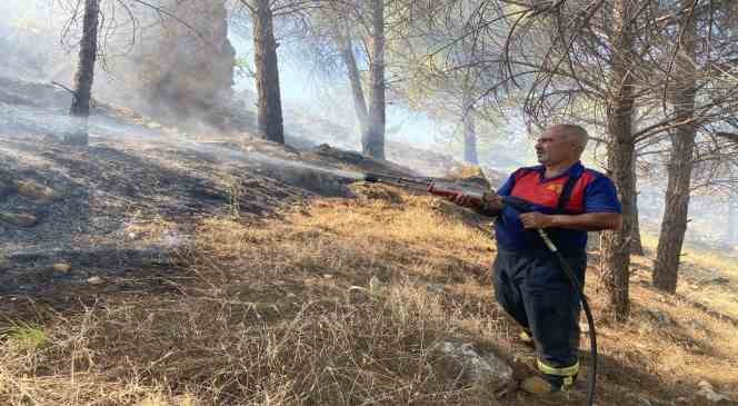 Ormana sı&ccedil;rayan yangın 3 saatte kontrol altına alındı

