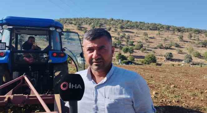 Mardin&rsquo;de 320 d&ouml;n&uuml;m patates tarlasında g&uuml;nde 200-300 ton hasat yapılıyor
