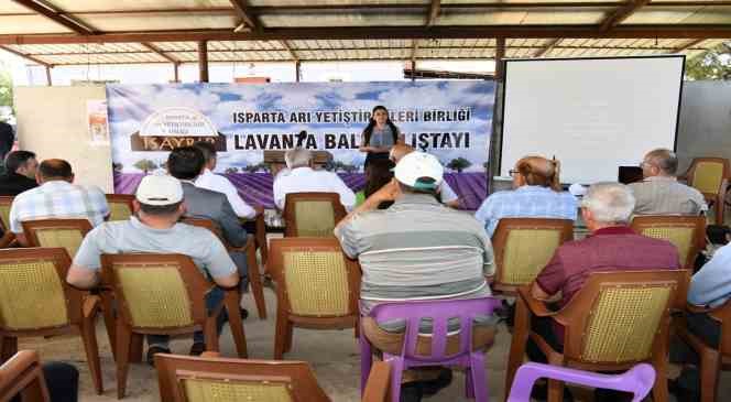 Isparta lavanta balı üretiminde pilot il olmayı hedefliyor