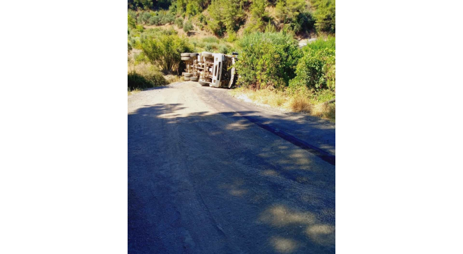 Freni tutmayan kamyon devrildi: 1 yaralı