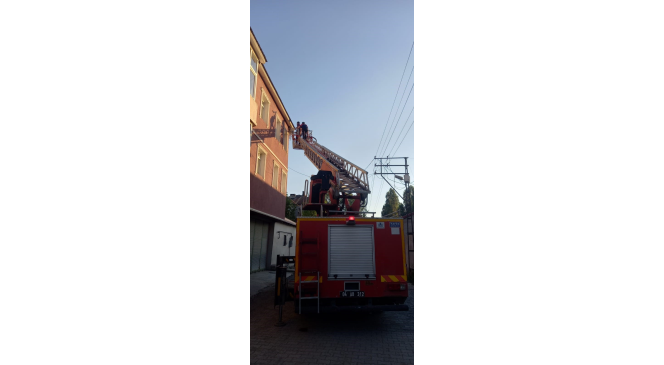 Çatıya sıkışan karga kurtarıldı