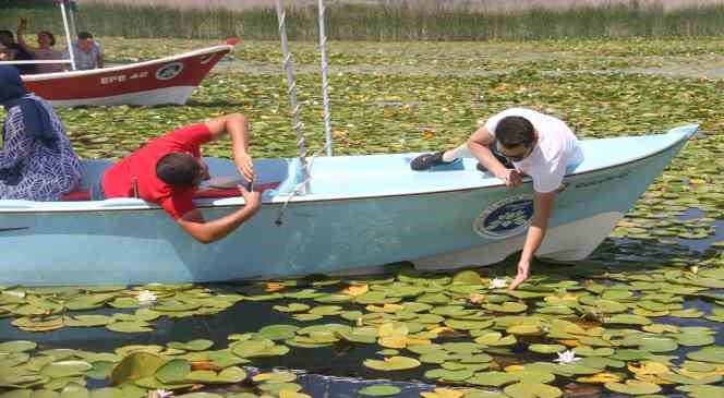 Konya’da milli parktaki nilüfer çiçeği bahçesi ziyaretçilerini hayran bırakıyor