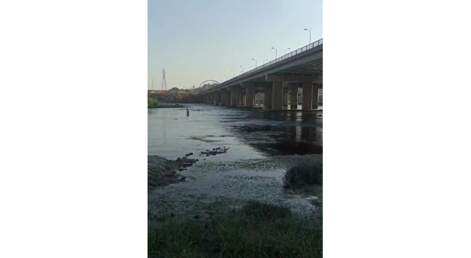 Metrelerce y&uuml;ksekten Dicle Nehri&rsquo;ne atlayan &ccedil;ocuklar y&uuml;rekleri ağza getirdi
