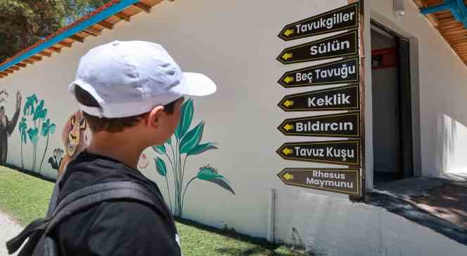 Yaz okulu &ouml;ğrencileri hayvanat bah&ccedil;esini gezdi
