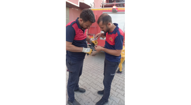 &Ccedil;atıya sıkışan karga kurtarıldı
