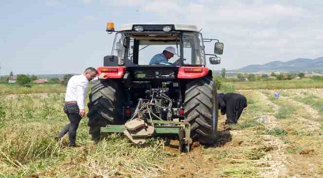 Dünyaca ünlü Taşköprü sarımsağının hasadı devam ediyor