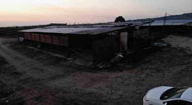 &Ccedil;anakkale&rsquo;deki orman yangınlarında &ccedil;iftlik yandı, 13 b&uuml;y&uuml;kbaş ve 10 k&uuml;&ccedil;&uuml;kbaş hayvanı telef oldu
