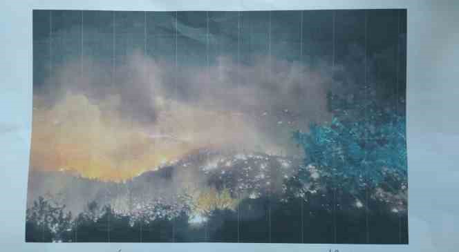 Orman yangınları yeraltı sularını bitiriyor
