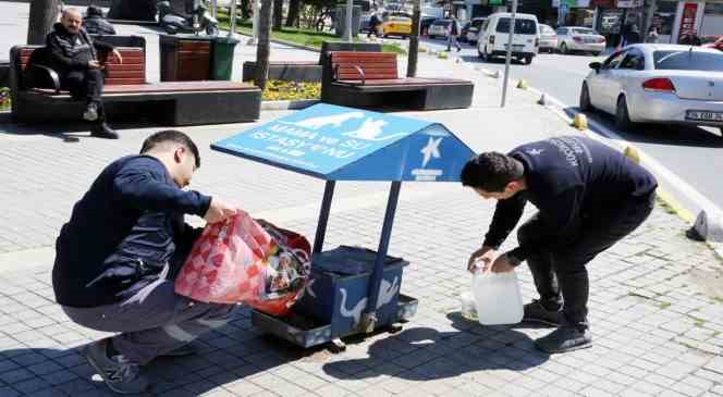 K&uuml;&ccedil;&uuml;k&ccedil;ekmece&rsquo;de sokak hayvanları bunaltıcı sıcaklarda da yalnız bırakılmadı
