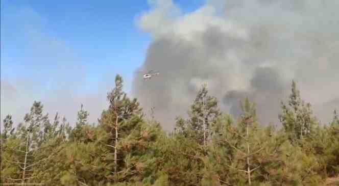 Gaziantep’te korkutan orman yangını
