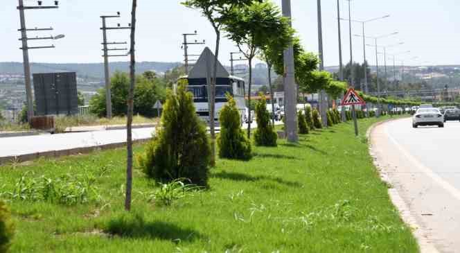 Osmaniye’nin giriş-çıkış güzergahı güzelleşiyor