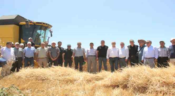 Karaman’da Alicantus ekmeklik buğdayın hasadı yapıldı